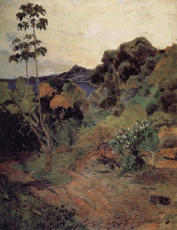 Paul Gauguin Martinique tropical plants oil painting picture